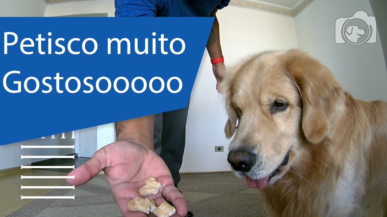 Melhor petisco para adestramento Clearance