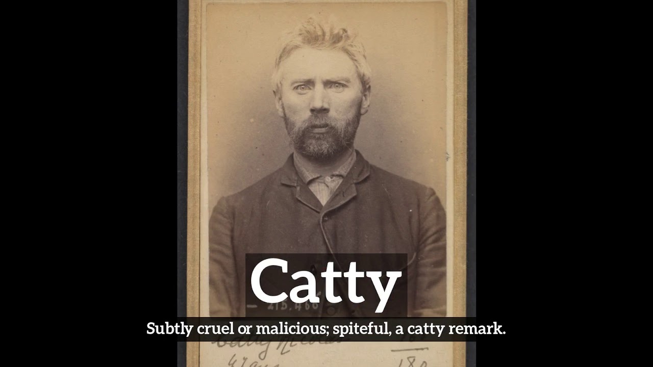 What Is Catty How Does Catty Look How To Say Catty In English what-is-catty-how-does-catty-look-how-to-say-catty-in-english