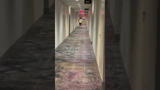 Kids have running race in hotel hallway the boy trips over little dog