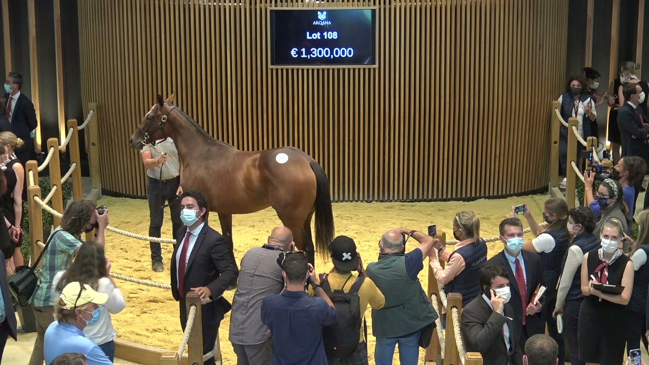 Top Price J2 - 2 400 000 E - N (TYPIQUE 2020) - F20 - Vente Arqana de Yearlings d'Août 2021