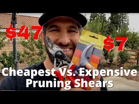 CHEAPO Pruning Shears from Amazon Compared to Quality Felco Shears