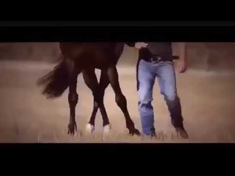 كل الغلط متسجل بس الحساب متأجل
