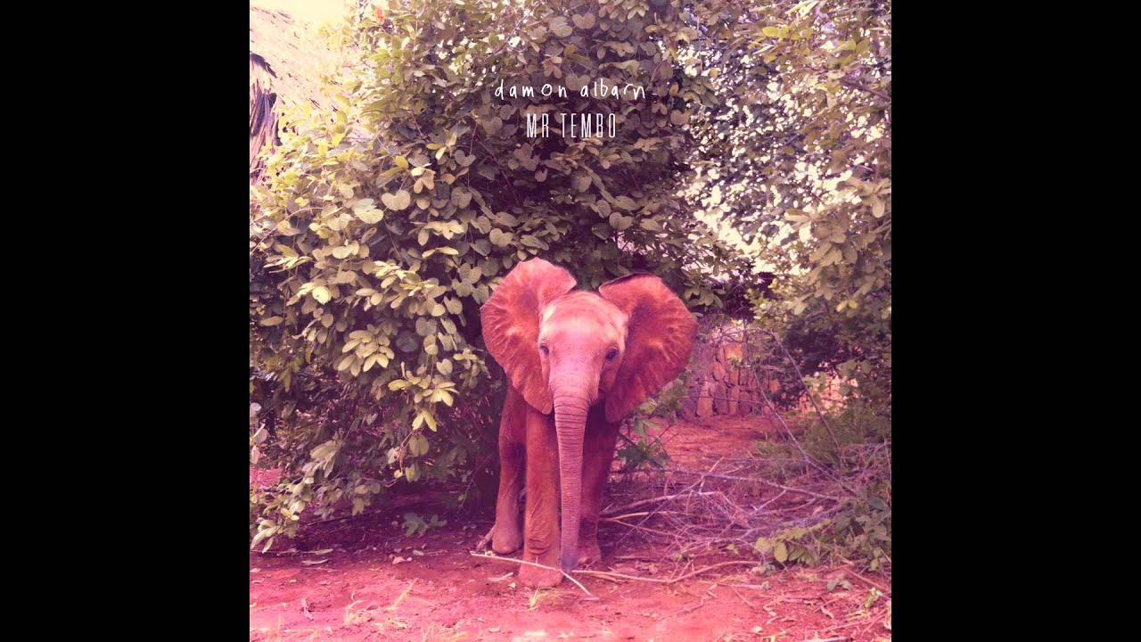 damon albarn mr tembo