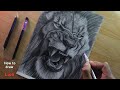 How to draw realistic lion face  step by step  for beginners  lion kishanguptaarts