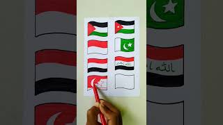 Turkey Country 🇹🇷 #flag #savepalestine #country #turkey #shorts