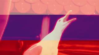 Seagull Meme Slavic Edition
