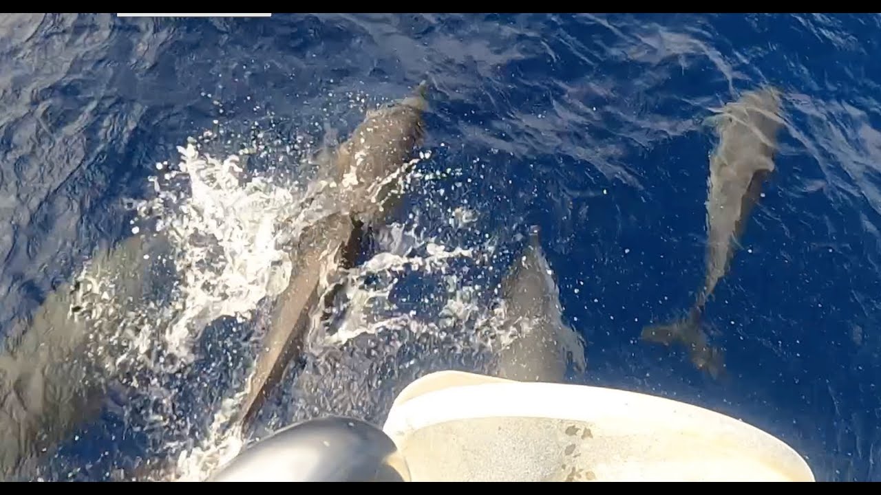 Ep 13. Sailing back to St.Lucia