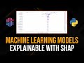 Explain machine learning models with shap in python