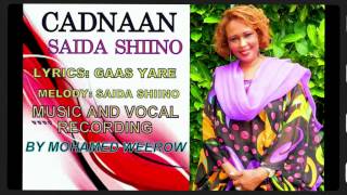 Saida Shiino Cadnaan 2015 New Somali Music