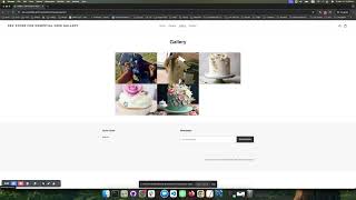 How to Publish Gallery on Shopify Theme v1 Store Page Using Essential Grid Gallery App
