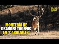 MONTERÍA DE GRANDES TROFEOS EN "CARDIZALES"