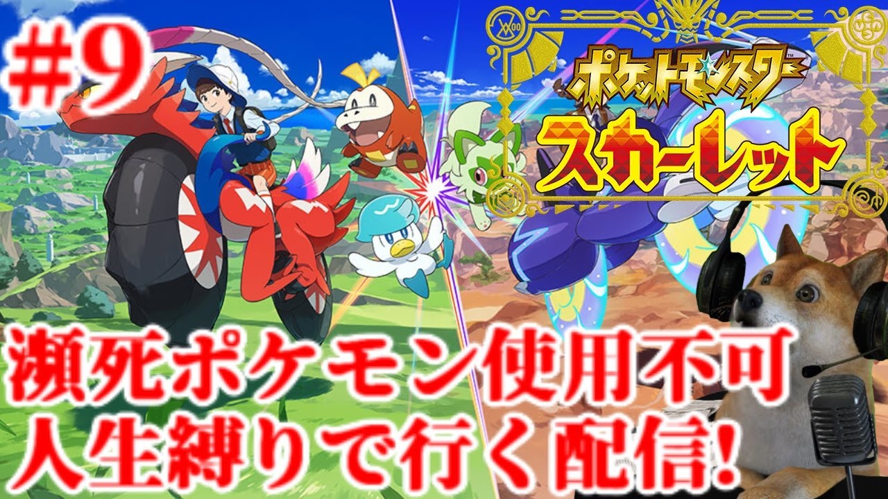 9 ついに最終ダンジョン突入…!瀕死ポケモン使用不可の人生縛り冒険