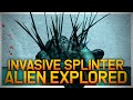 The Splinter Monster Explained | Dangers of invasive species on local fauna | Lore and Physiology