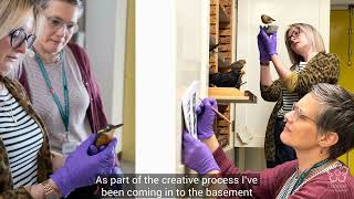 Lucy Stevens Colour Coded Birds Exhibition At Leicester Museum & Art Gallery