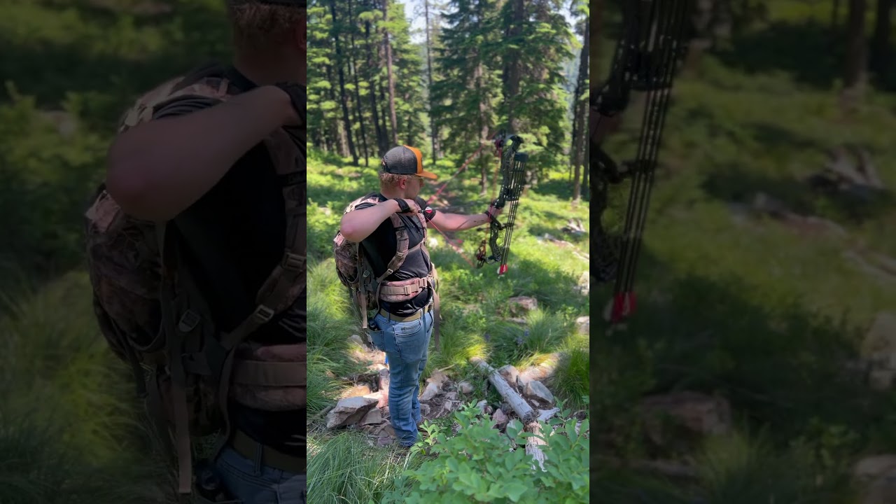 What bow do you shoot!?! #pnw #bowhunting #archery #mathews #content #idaho #shorts #subscribe