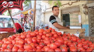 مجنونة يا أوطة .. سبب ارتفاع سعر الطماطم في السوق المصري