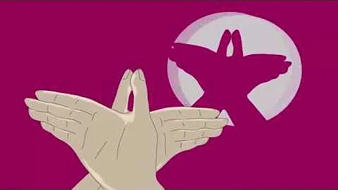 O que é necessário para realização da brincadeira teatro de sombras?