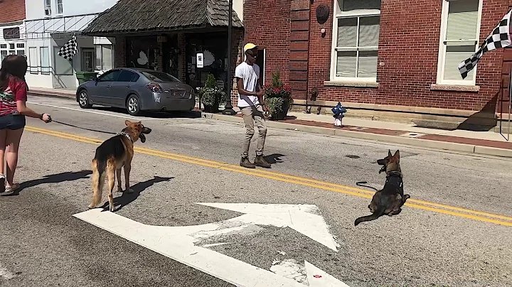 KingdomK9Trainin...  KK9T joins the Alumni Parade