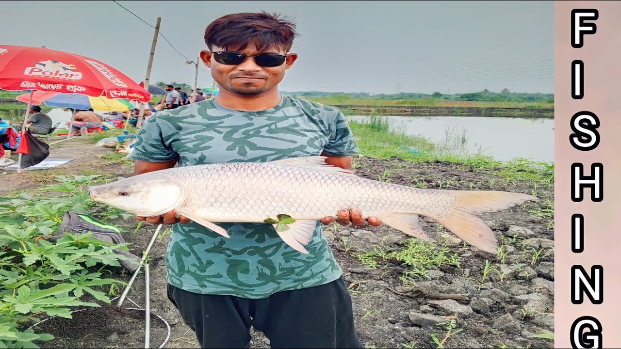 Unbelievable Fishing! Catching The Rohu Fishes In pond~Best Hook ...