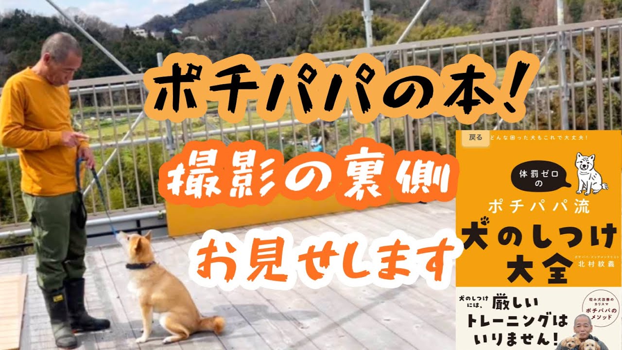 どんな困った犬もこれで大丈夫 体罰ゼロのポチパパ流 犬のしつけ大全 どんな困った犬もこれで大丈夫 体罰ゼロのポチパパ流 犬のしつけ大全