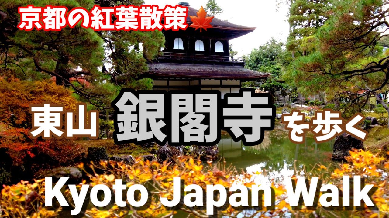 11/30(水)京都の紅葉散策🍁【4K】銀閣寺を歩く/Kyoto Japan walk!
