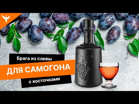 Как поставить брагу из сливы в домашних условиях