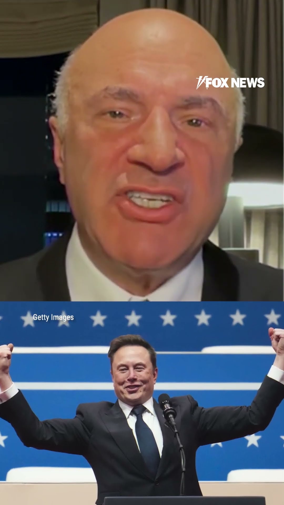 'Mr. Wonderful' praises Elon Musk's efforts to clean up government spending