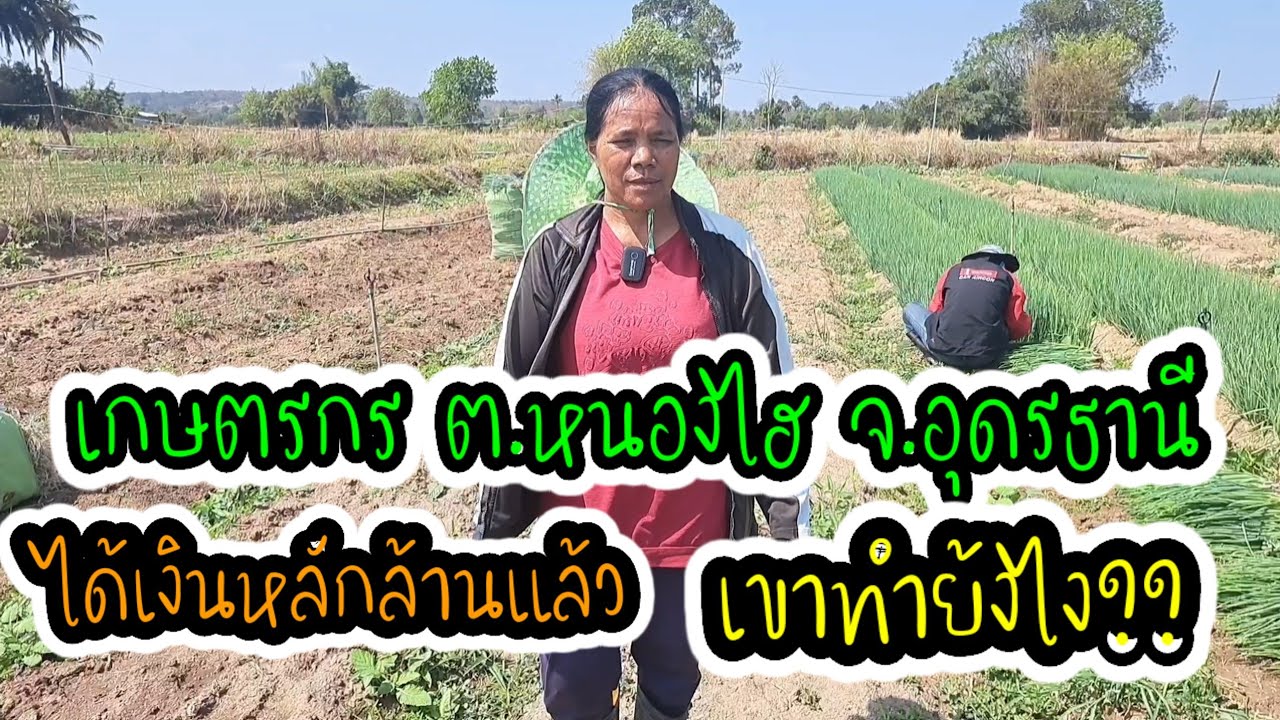 เกษตรผสมผสาน#ปลูกหอมมา20กว่าปีรายได้รวมๆหลักล้านแล้ว#เขาทำไง??