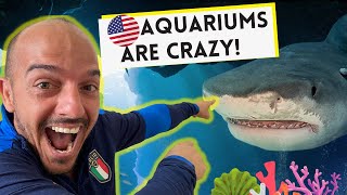 Cuban Reacts to Aquarium in America!  First Time!