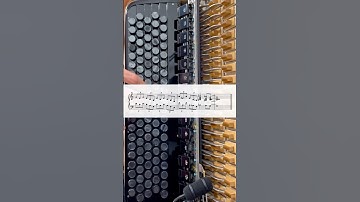 Jazz Accordion Lick of the week #lickoftheweek #accordion #jazzaccordion
