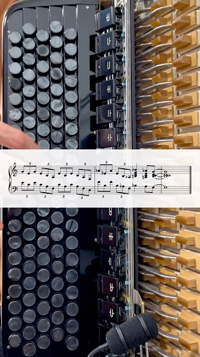 Jazz Accordion Lick of the week #lickoftheweek #accordion #jazzaccordion