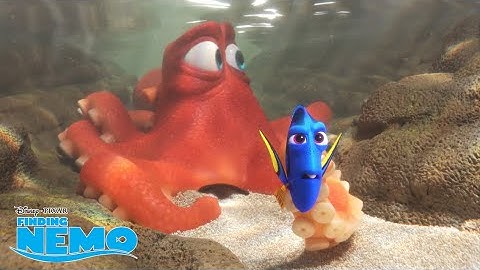 Just Keep Swimming 🐠 | Finding Dory | Disney Channel UK