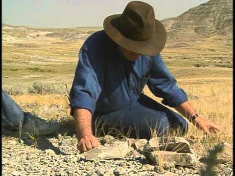 The Fall of Newt Gingrich