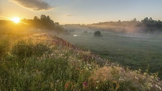 видео:  картинка: