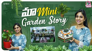 Maa Mini Garden Story || Garden Tour || Manjula Nirupam || Strikers