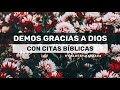 Dando Gracias a Dios con Citas Bíblicas – Empieza un Nuevo Día con Citas de Gratitud