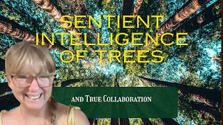 The Consciousness of Trees & True Sentient Collaboration