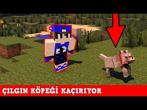 HIRSIZ VS POLİS #61 - Çılgın Köpeği Kaçırıyor