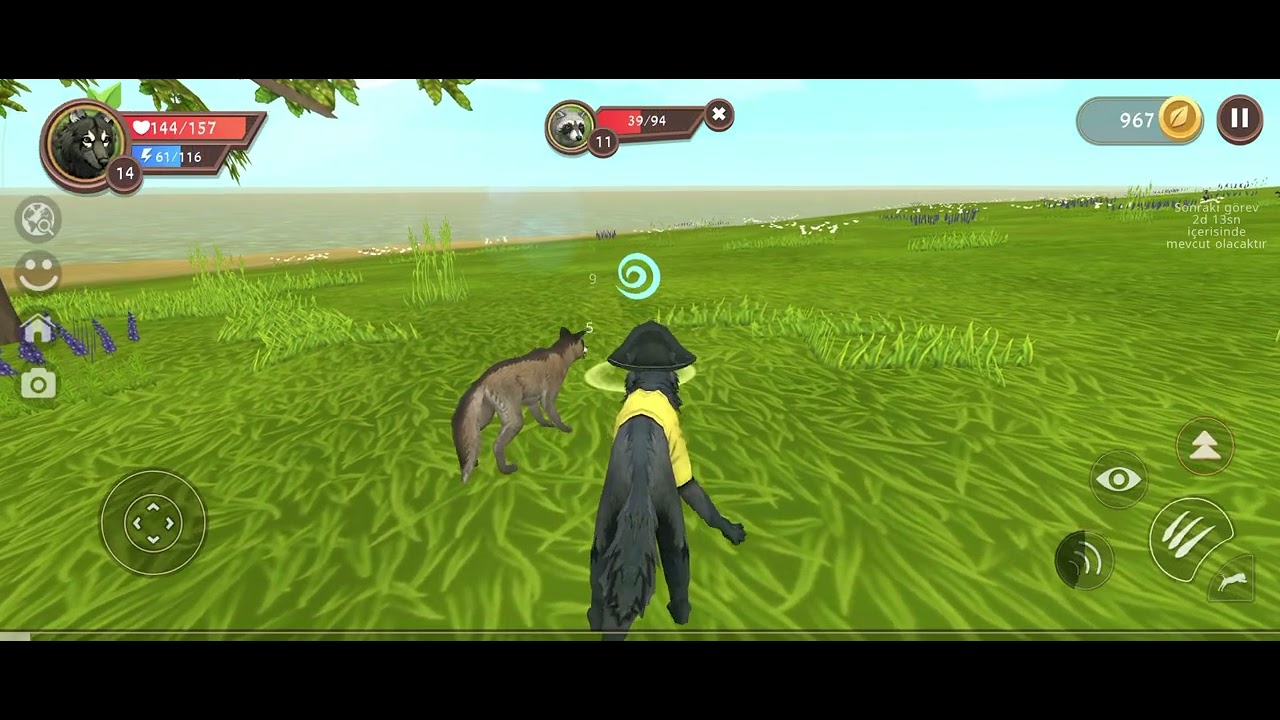 Wildcraft-Kurt ile yavru yetişdirdim