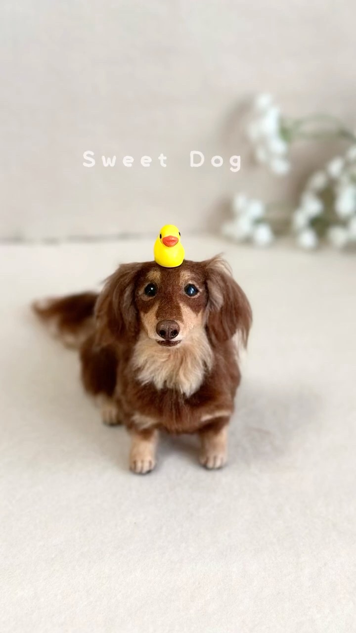 出品中】チョコタンさんダックスフンド#needlefelting #dachshund