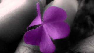 Calvin Jeremy - Tetap Setia.wmv