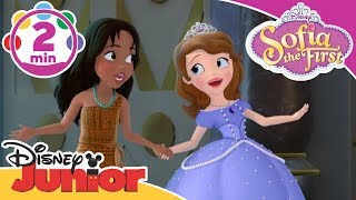Sofia The First | A Princess True Song |  Disney Junior UK