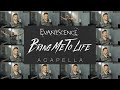 Bring Me To Life ACAPELLA Evanescence