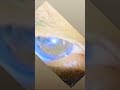 the earth was tell them the sphinx at the image of roylee or game over because the earth know