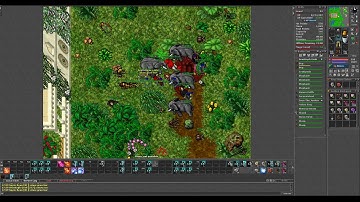 Tibia Helera - maker sneakssss