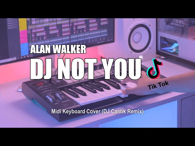 DJ Not You Alan Walker Tik Tok Remix Terbaru 2023 (DJ Cantik Remix) class=