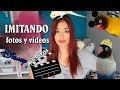 ¡IMITANDO FOTOS Y VIDEOS DISNEY CON MIS PAJAROS!