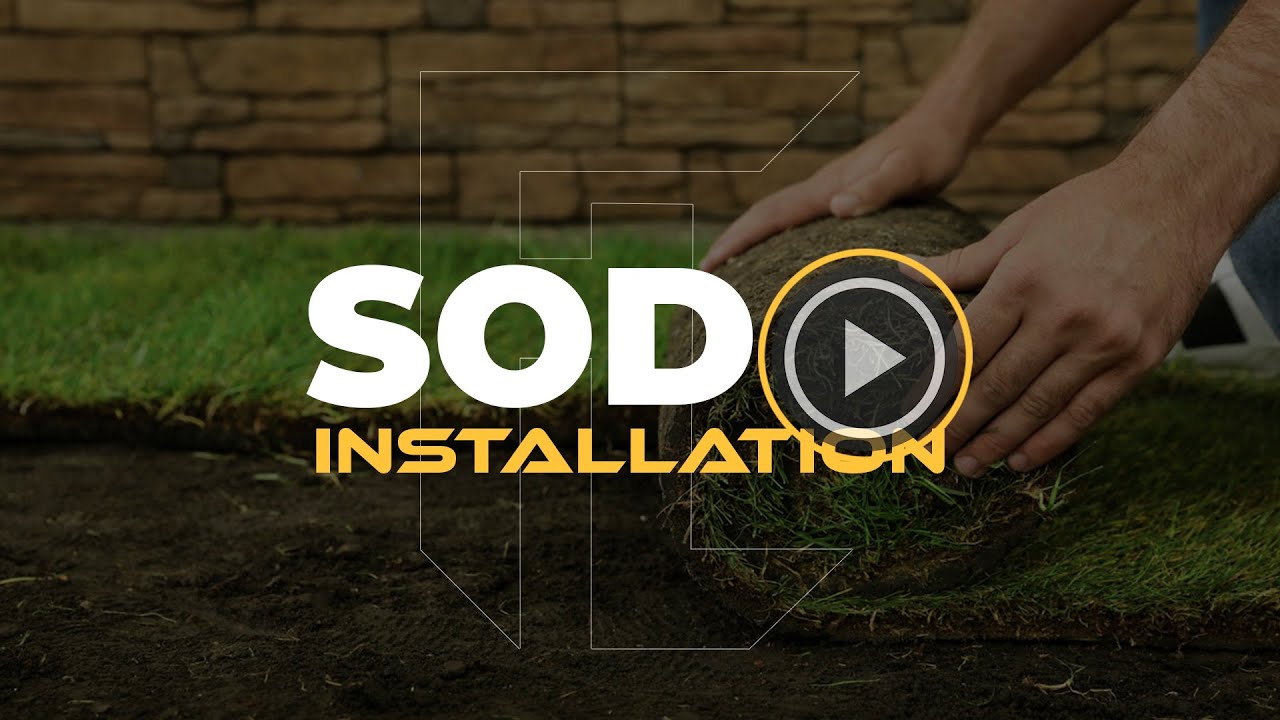 Sod Installers near me in Wichita's