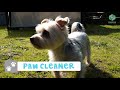 11 Awesome Life Hacks For Your Dog