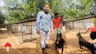 Delhi का यह Dog Kennel आपको हेरान कर देगा